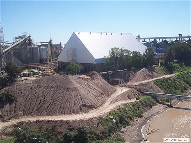 Bunge