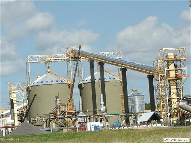 Bunge