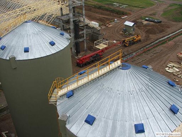 Bunge